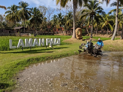 muzium laman padi